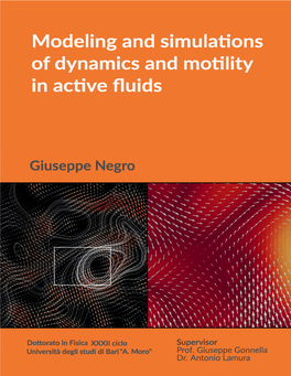 Modeling and Simulations of Dynamics and Motility in Active Fluids