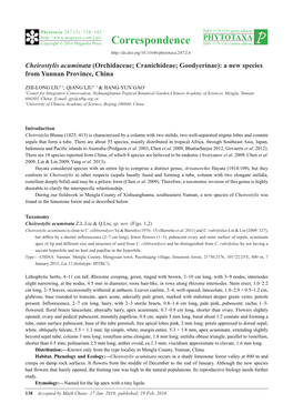 Cheirostylis Acuminata (Orchidaceae; Cranichideae; Goodyerinae): a New Species from Yunnan Province, China