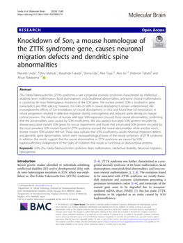 Knockdown of Son, a Mouse Homologue of the ZTTK Syndrome