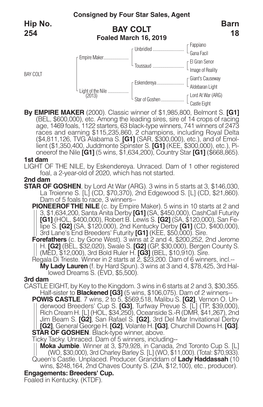 BAY COLT Barn 18 Hip No