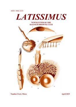 Latissimus43.Pdf