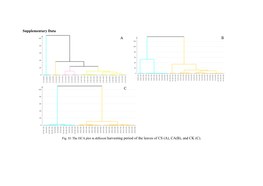 Fig. S1 the HCA Plot in Different Harvesting Period of the Leaves of CS (A), CA(B), and CK (C)