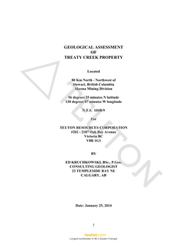 Geological Assessment of Treaty Creek Property