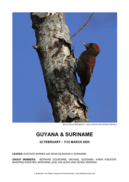 Guyana 2020 Tour Report Copy