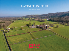 Lavington Stud