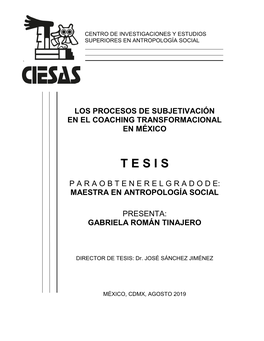 Los Procesos De Subjetivación En El Coaching Transformacional En México Tesis