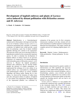 Development of Haploid Embryos and Plants of Lactuca Sativa Induced by Distant Pollination with Helianthus Annuus and H