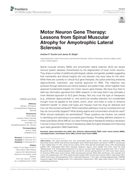 Motor Neuron Gene Therapy: Lessons from Spinal Muscular Atrophy for Amyotrophic Lateral Sclerosis