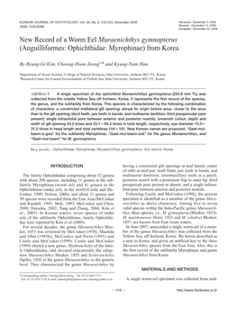 New Record of a Worm Eel Muraenichthys Gymnopterus (Anguilliformes: Ophichthidae: Myrophinae) from Korea