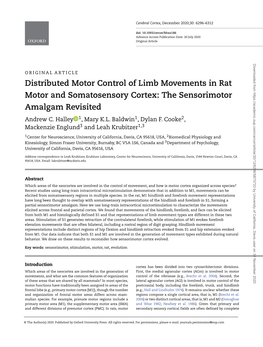 Distributed Motor Control of Limb Movements in Rat Motor and Somatosensory Cortex: the Sensorimotor Amalgam Revisited Andrew C