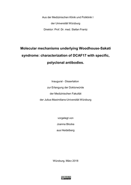 Characterization of DCAF17 with Specific, Polyclonal Antibodies