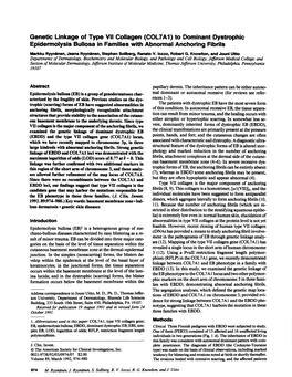 Genetic Linkage of Type VII Collagen (COL7A1) to Dominant Dystrophic Epidermolysis Bullosa in Families with Abnormal Anchoring Fibrils