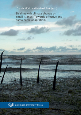 Dealing with Climate Change on Small Islands: Towards Effective and Sustainable Adaptation?