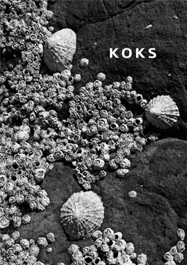 KOKS 2016 Web.Pdf