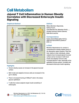 Jejunal T Cell Inflammation in Human Obesity Correlates with Decreased