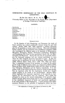 Comparative Morphology of the Male Genitalia in Lepidoptera