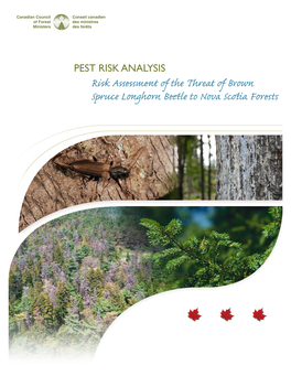 Risk Assessment: Brown Spruce Longhorn Beetle Pest Risk Assessment