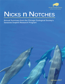 Nicks N Notches Annual Summary from the Chicago Zoological Society’S Sarasota Dolphin Research Program