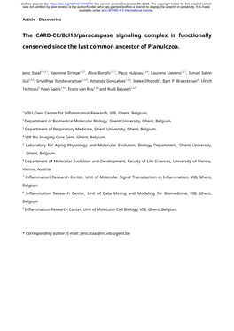 The CARD-CC/Bcl10/Paracaspase Signaling Complex Is Functionally Conserved Since the Last Common Ancestor of Planulozoa