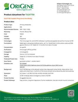 GUCY1B1 Rabbit Polyclonal Antibody – TA347700 | Origene