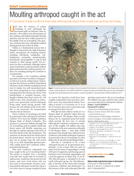 Moulting Arthropod Caught in the Act a Cambrian Fossil Confirms That Early Arthropods Shed Their Coats Just As They Do Today