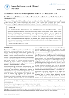 Anatomical Variations of the Saphenous Nerve in the Adductor Canal