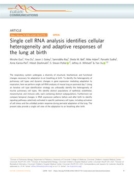 Single Cell RNA Analysis Identifies Cellular Heterogeneity and Adaptive Responses of the Lung at Birth Single Cell - Lung at Birth