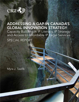 Addressing a Gap in Canada's Global Innovation Strategy