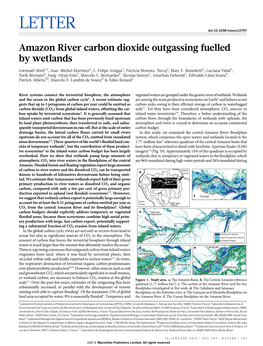 Amazon River Carbon Dioxide Outgassing Fuelled by Wetlands