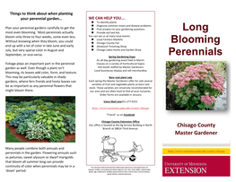 Long Blooming Perennials