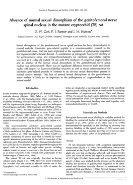 Absence of Normal Sexual Dimorphism of the Genitofemoral Nerve Spinal Nucleus in the Mutant Cryptorchid (TS) Rat D