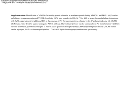 Identification of a 56 Kda Cu-Binding Protein, Vimentin, As an Adaptor Protein Linking VEGFR-1 and PKG-1