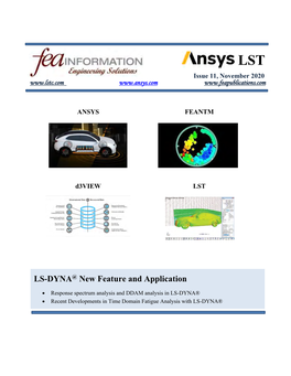 FEA Newsletter November 2020