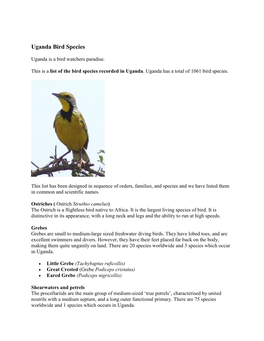 Uganda Bird Species
