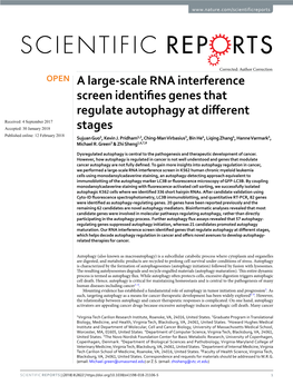 A Large-Scale RNA Interference Screen Identifies Genes That