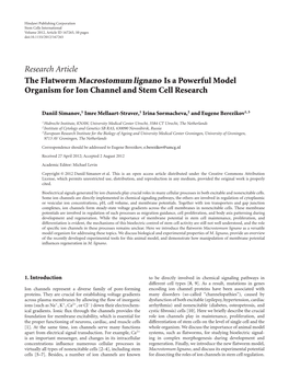 The Flatworm Macrostomum Lignano Is a Powerful Model Organism for Ion Channel and Stem Cell Research