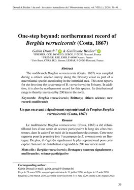 Northernmost Record of Berghia Verrucicornis
