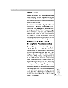 Pseudococcid Scale Insects (Homoptera: Pseudococcidae)