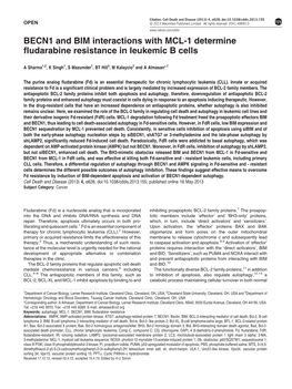 BECN1 and BIM Interactions with MCL-1 Determine Fludarabine Resistance