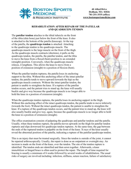 The Patellar Tendon Attaches to the Tibial Tubercle on the Front of the Tibia (Shin Bone) Just Below the Front of the Knee