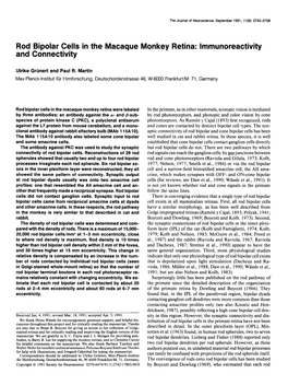 Rod Bipolar Cells in the Macaque Monkey Retina: Lmmunoreactivity and Connectivity