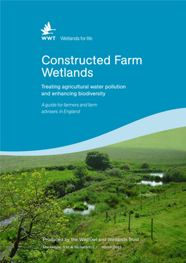 Constructed Farm Wetlands Treating Agricultural Water Pollution and Enhancing Biodiversity