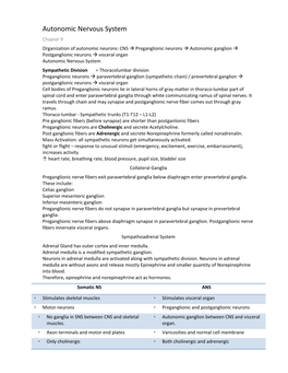 Autonomic Nervous System