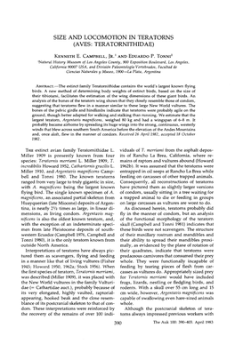 Size and Locomotion in Teratorns (Aves: Teratornithidae)