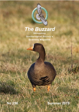 The Buzzard Shropshire Ornithological Society’S Quarterly Magazine