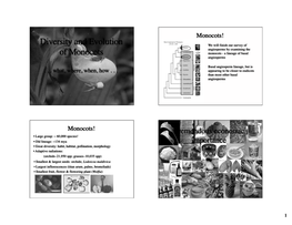 Diversity and Evolution of Monocots