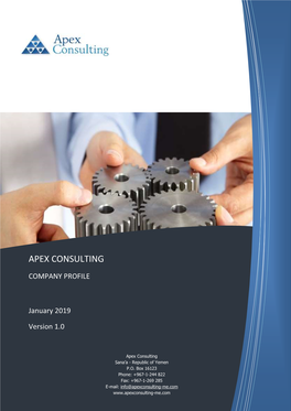 Apex Consulting (General Profile)