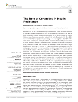 The Role of Ceramides in Insulin Resistance