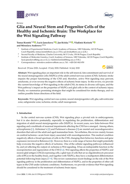 The Workplace for the Wnt Signaling Pathway