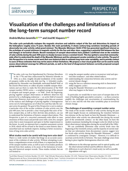 Visualization of the Challenges and Limitations of the Long-Term Sunspot Number Record